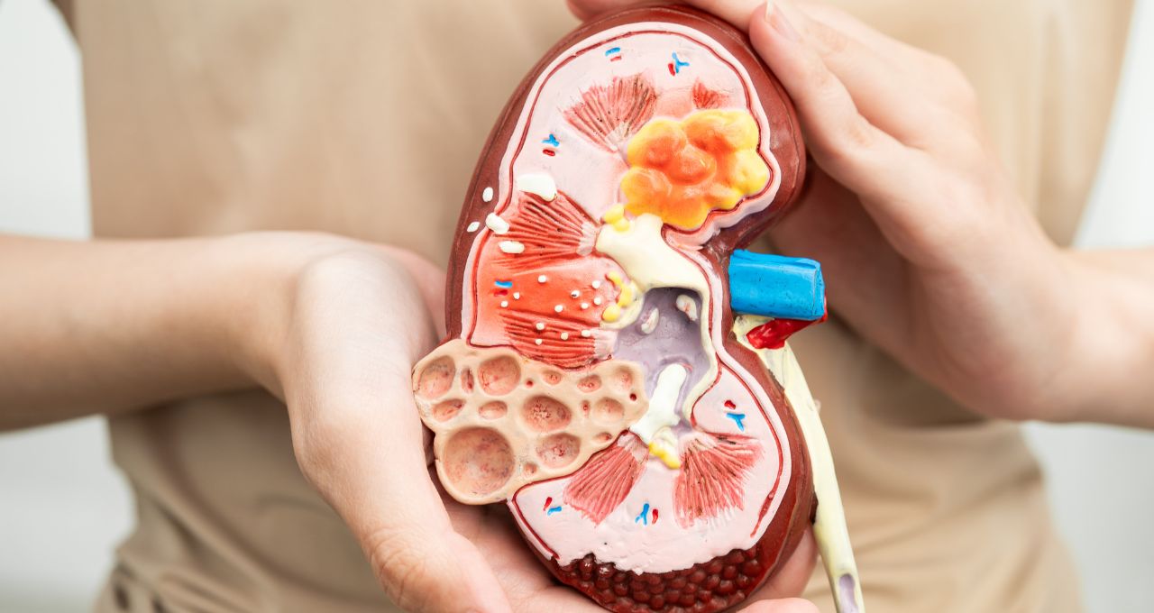 3D医療模型の制作