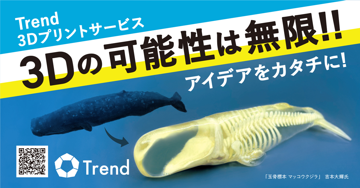 3Dの可能性は無限大